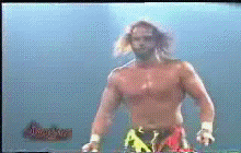 randysavageflyinelbow1hd2.gif